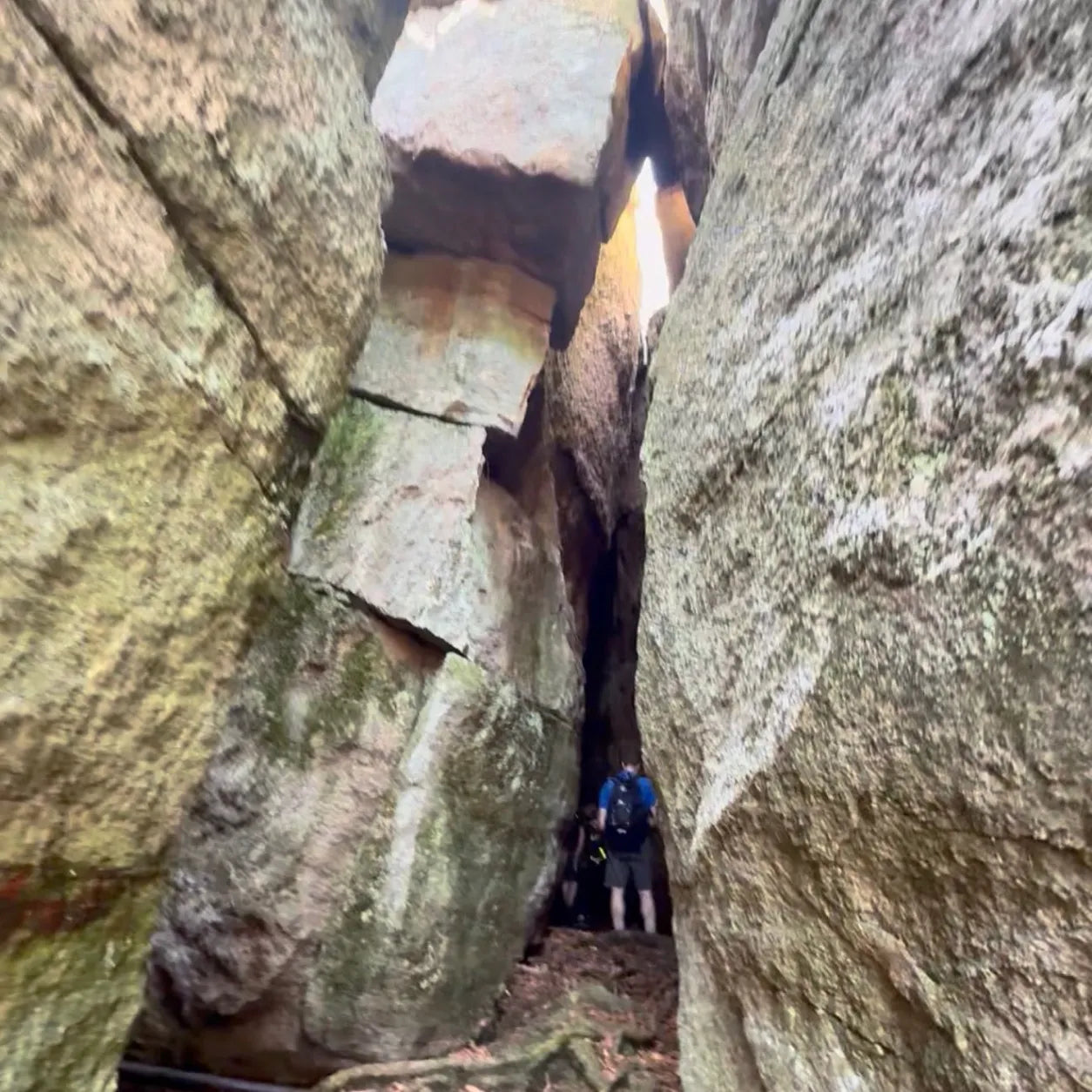 Mohonk Rock Scramble Adventure