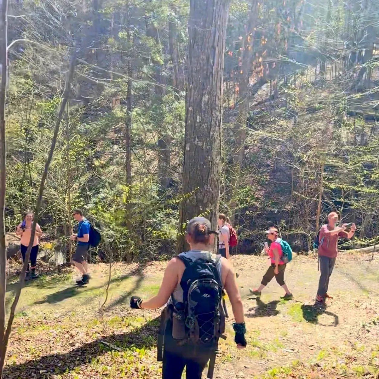 Mohonk Rock Scramble Adventure